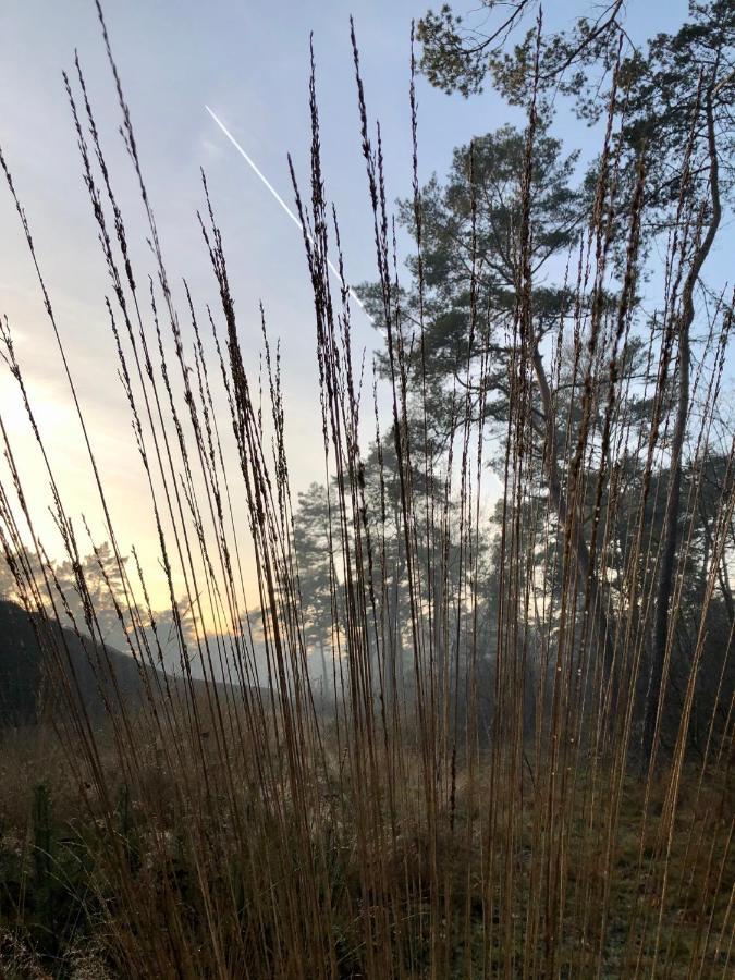 Het Natuurhuisje Op De Veluwe 넌스피트 외부 사진