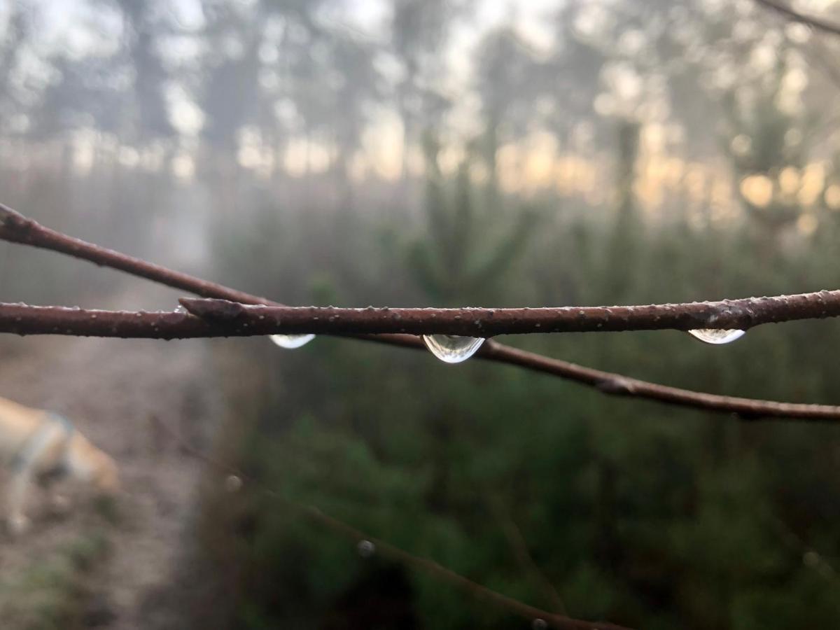 Het Natuurhuisje Op De Veluwe 넌스피트 외부 사진