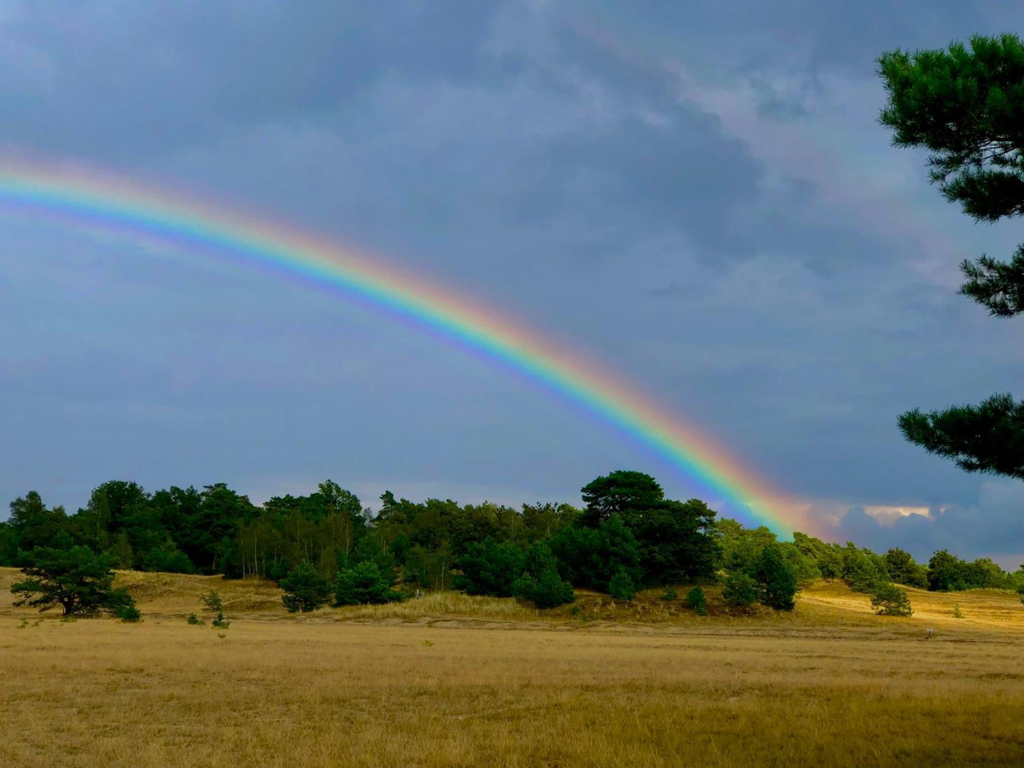 Het Natuurhuisje Op De Veluwe 넌스피트 외부 사진