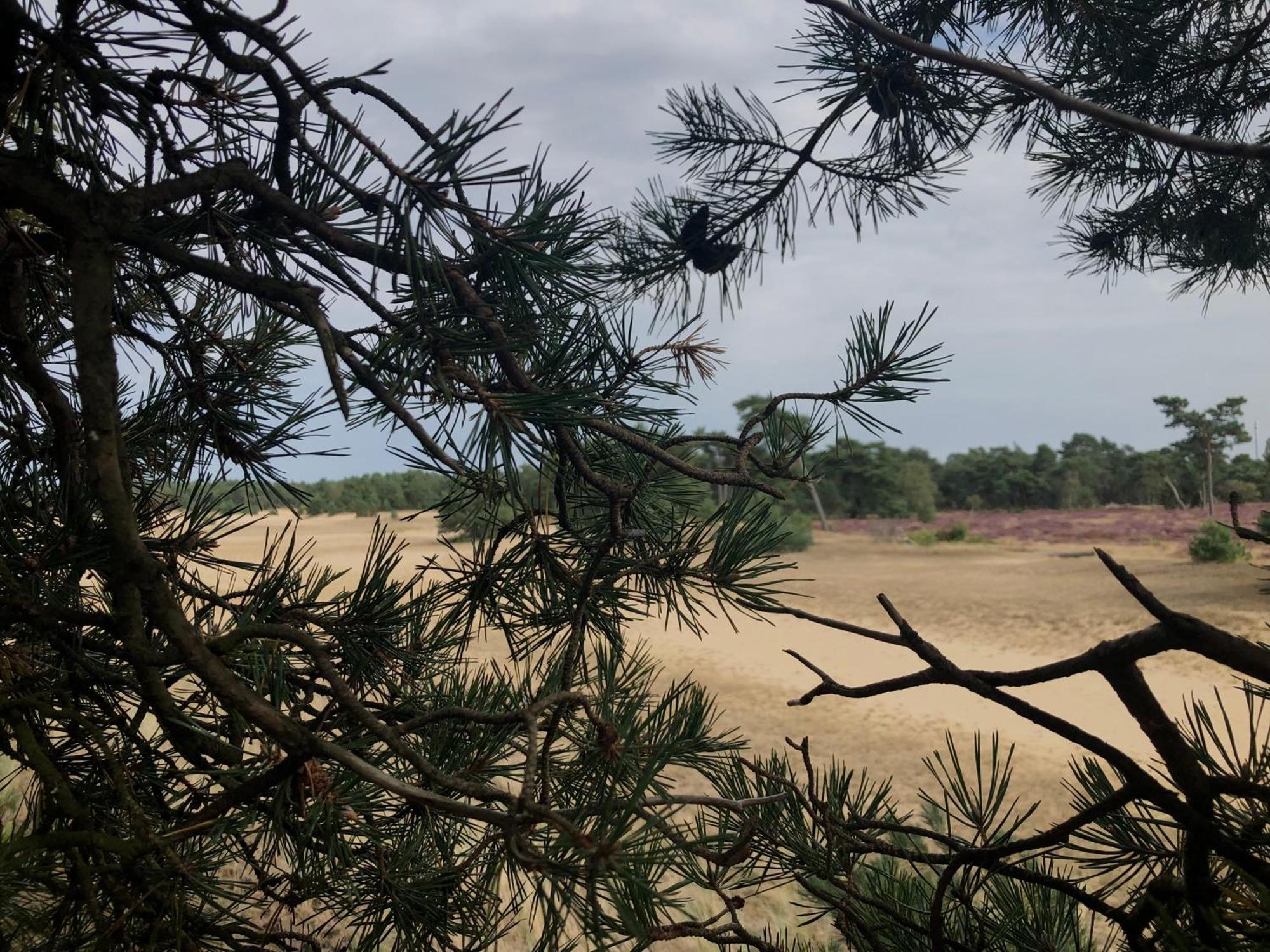 Het Natuurhuisje Op De Veluwe 넌스피트 외부 사진