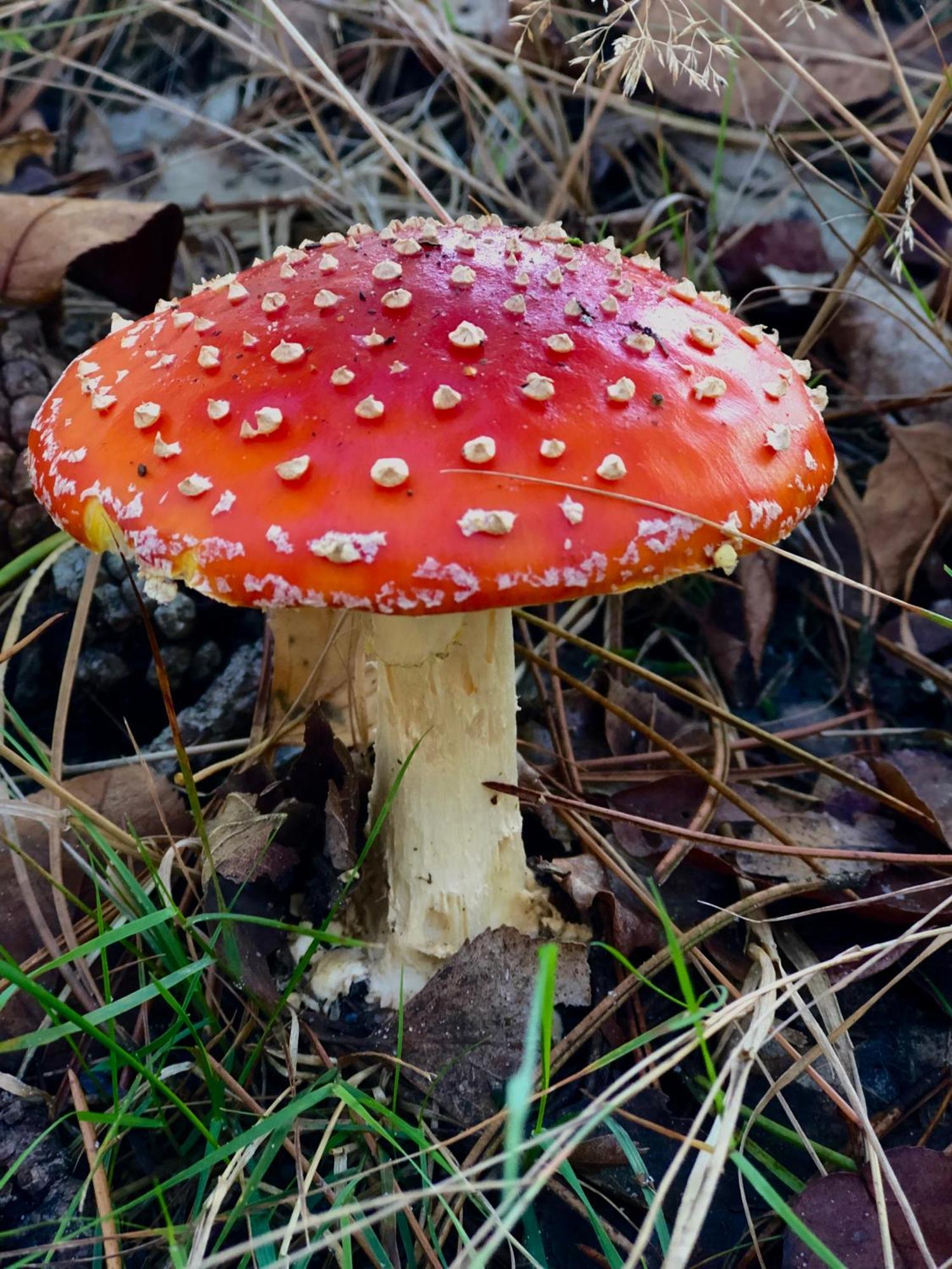 Het Natuurhuisje Op De Veluwe 넌스피트 외부 사진
